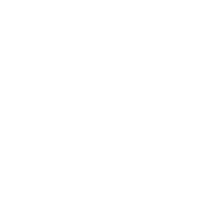 Tech Icon